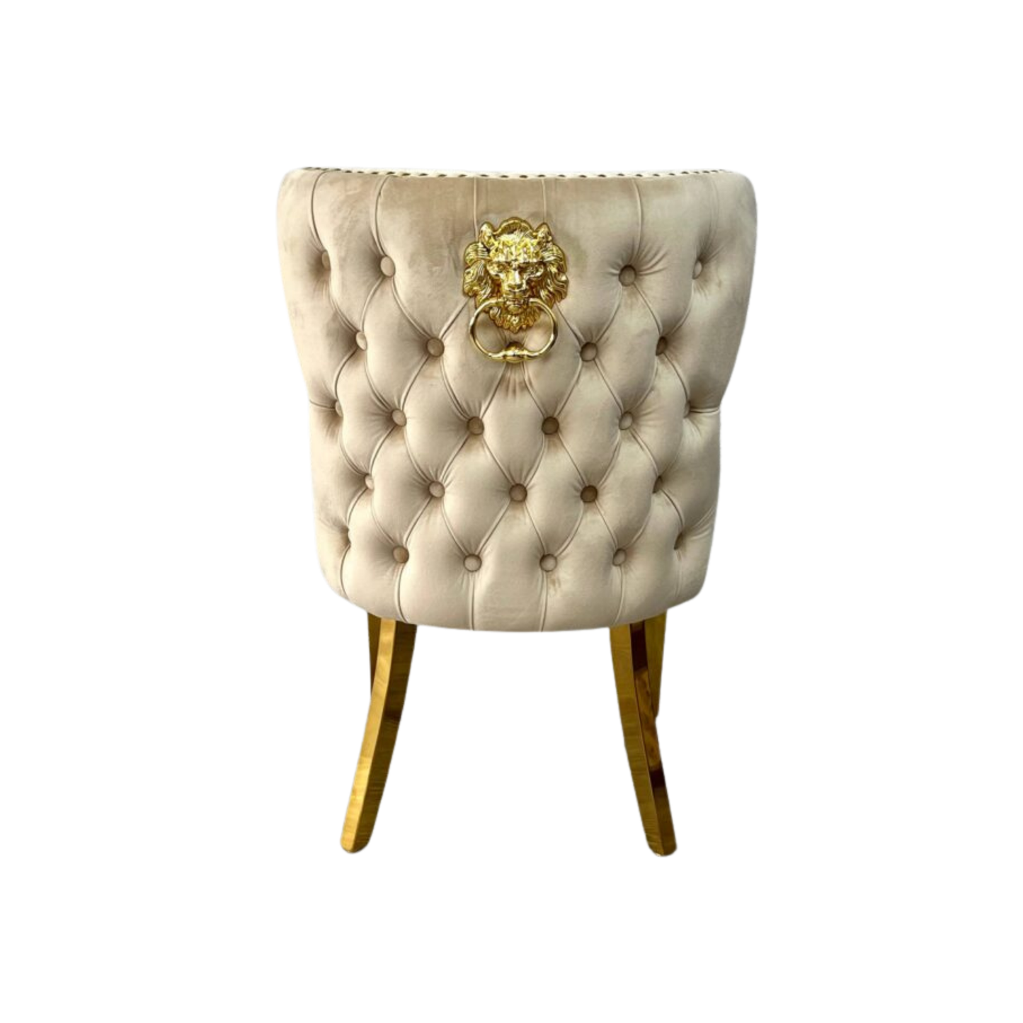 Customer Beauty Salon Chair Valentino Lion Velvet