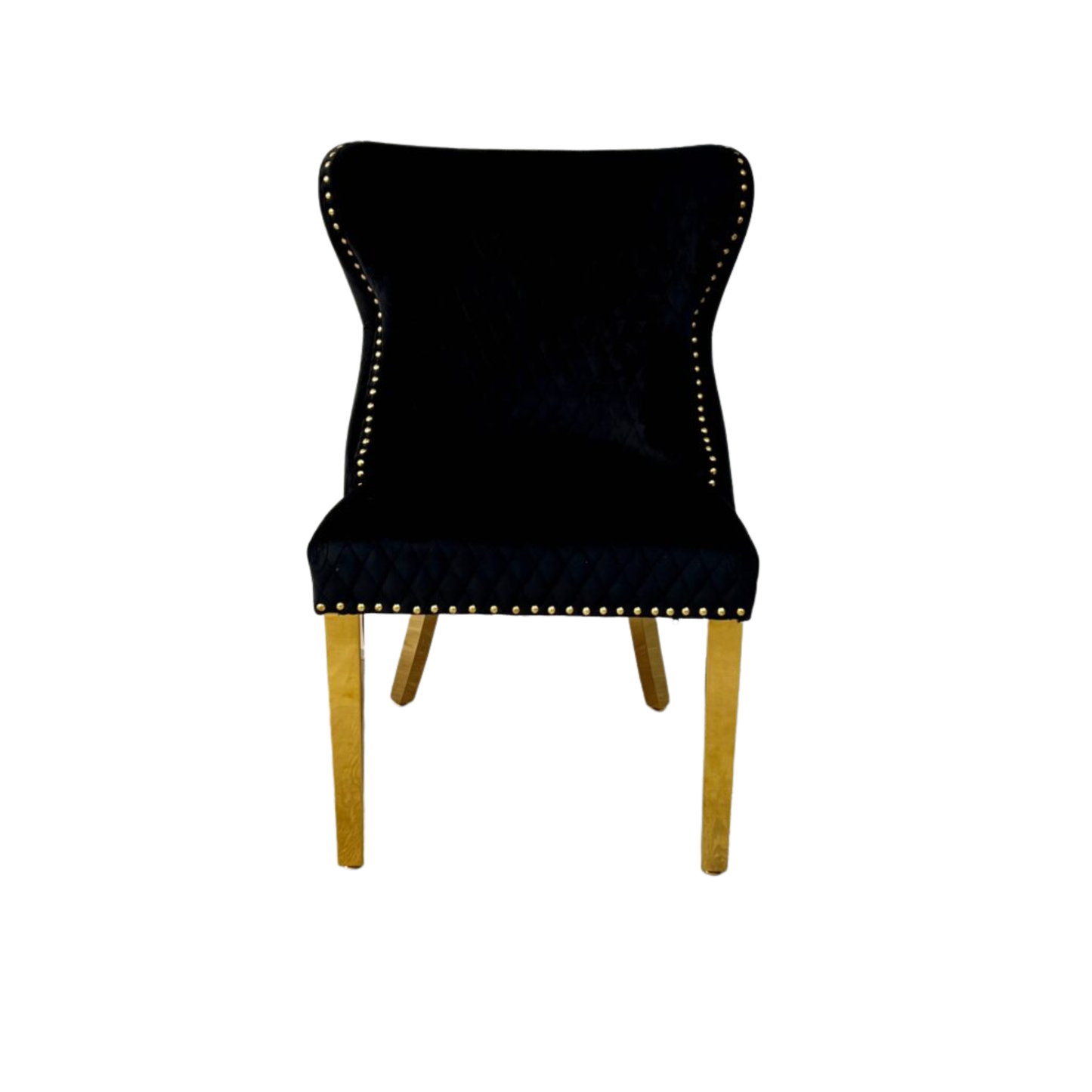 Customer Beauty Salon Chair Valentino Lion Velvet