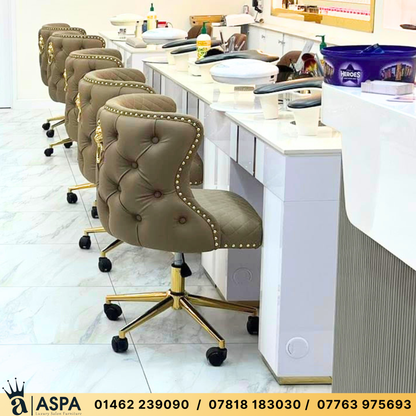Customer Beauty Salon Chair Diamond