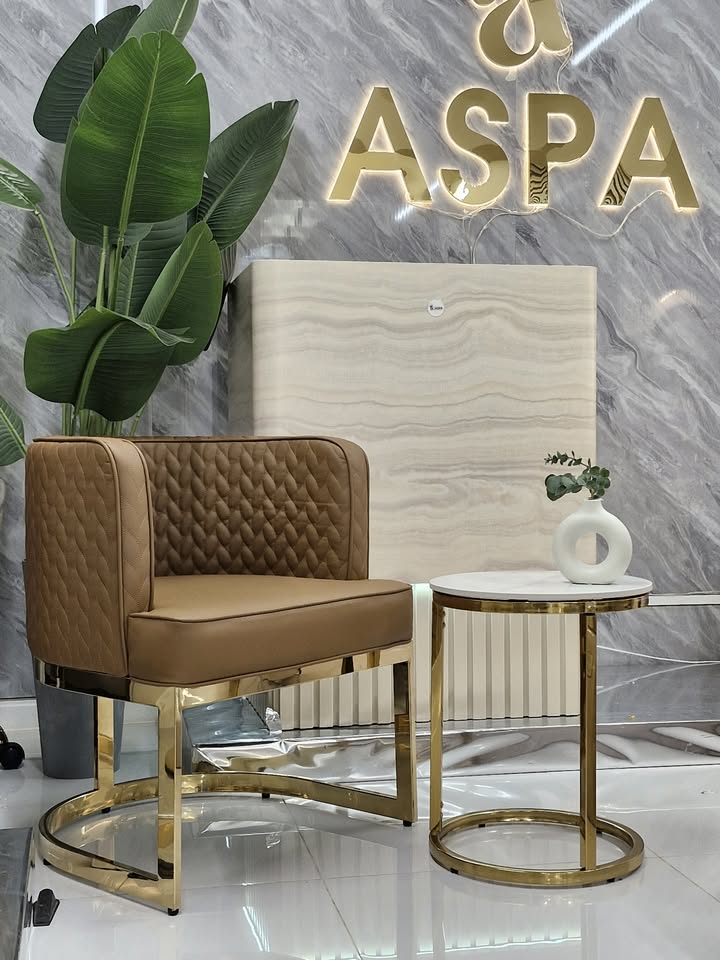 Modern brown chair with gold accents in a stylish interior setting, featuring the brand 'ASPA'.