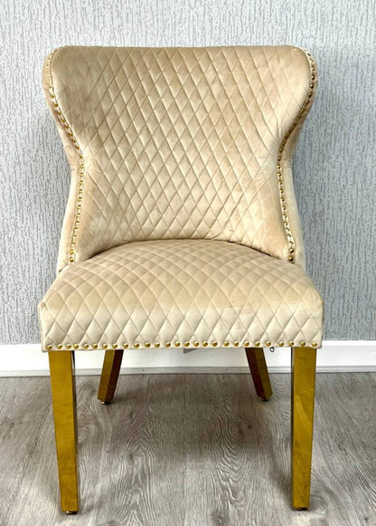 Customer Chair Valentino Lion Velvet