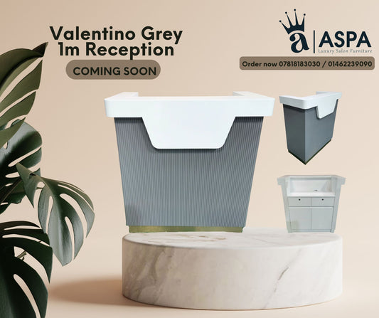Valentino Grey Reception