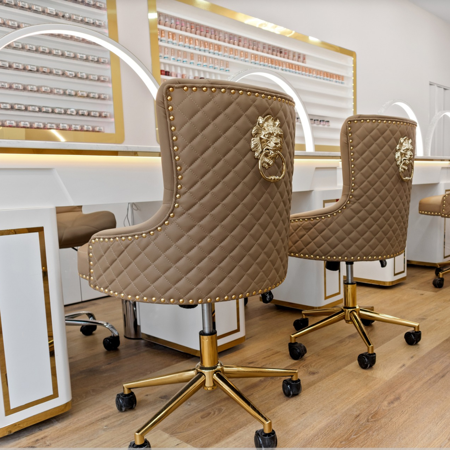 Customer Beauty Salon Chair Monaco