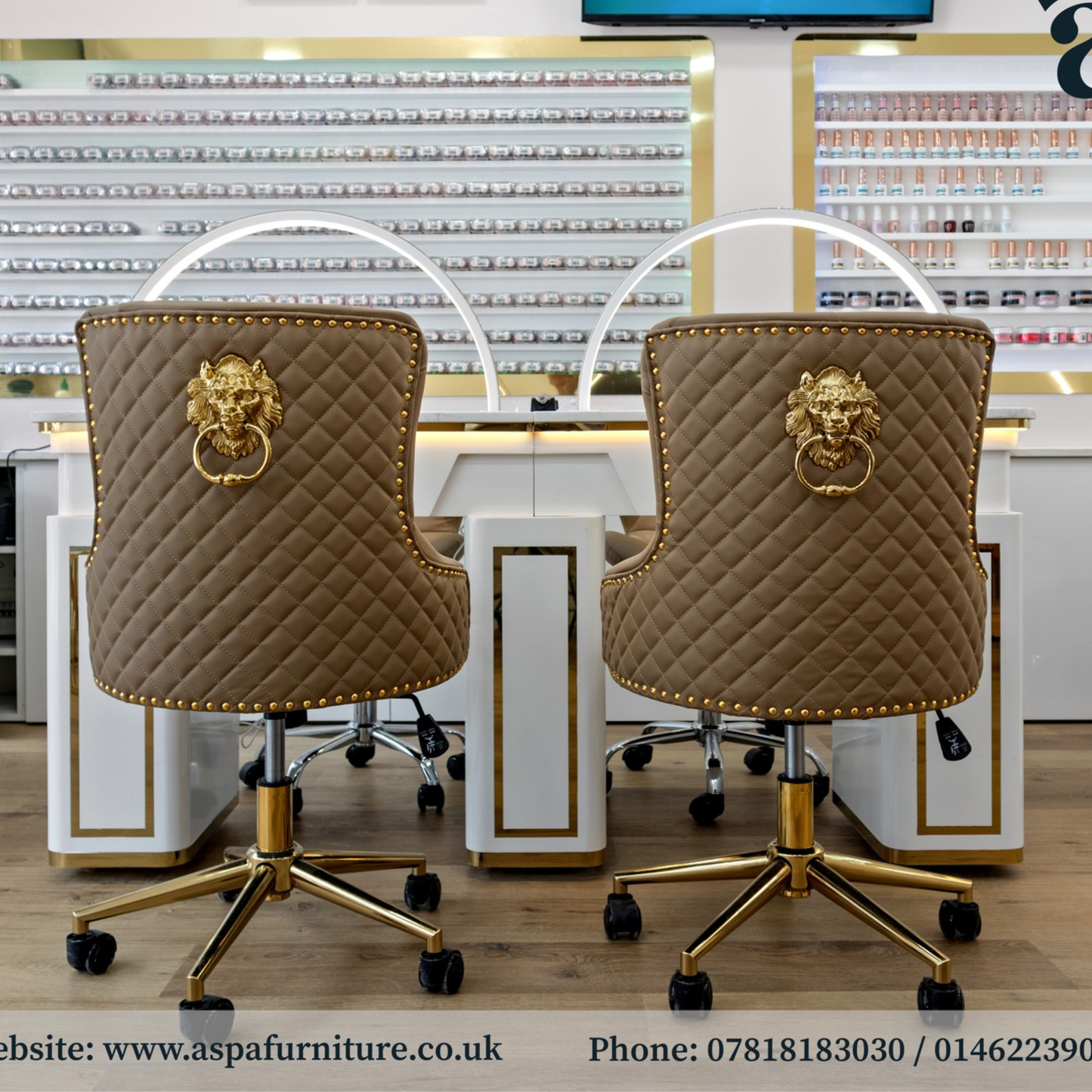Customer Beauty Salon Chair Monaco