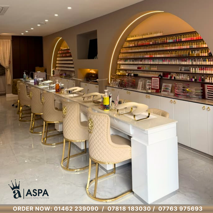 Customer Beauty Salon Chair Monaco
