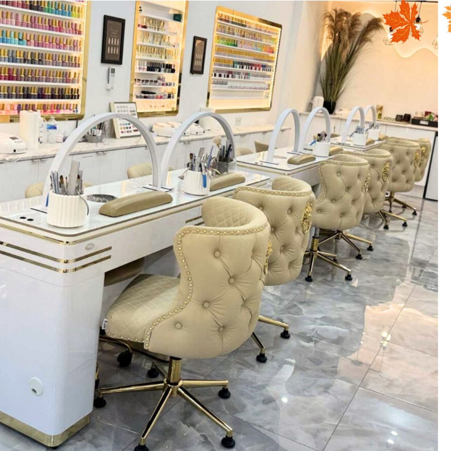 Customer Beauty Salon Chair Diamond