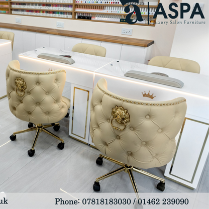 Customer Beauty Salon Chair Diamond