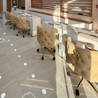 Customer Beauty Salon Chair Diamond